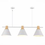 Подвесной светильник Evoluce Modica SLE125103-03