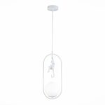 Подвесной светильник Evoluce Tenato SLE115123-01