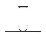 Подвесной светильник Favourite Raya 4096-1P