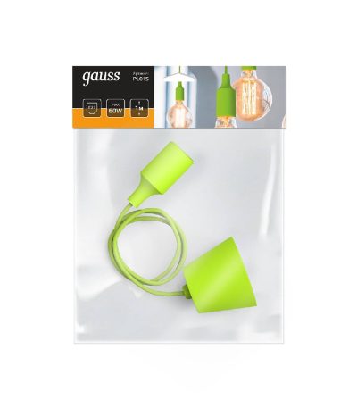 Подвесной светильник Gauss Decor PL015