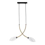 Подвесной светильник Indigo Fiore 13001/2P Black V000140