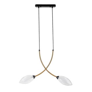 Подвесной светильник Indigo Fiore 13001/2P Black V000140