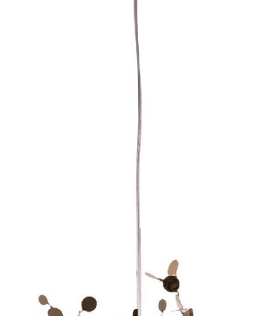 Подвесной светильник Lightstar Extra (721132+572102) L1P721132