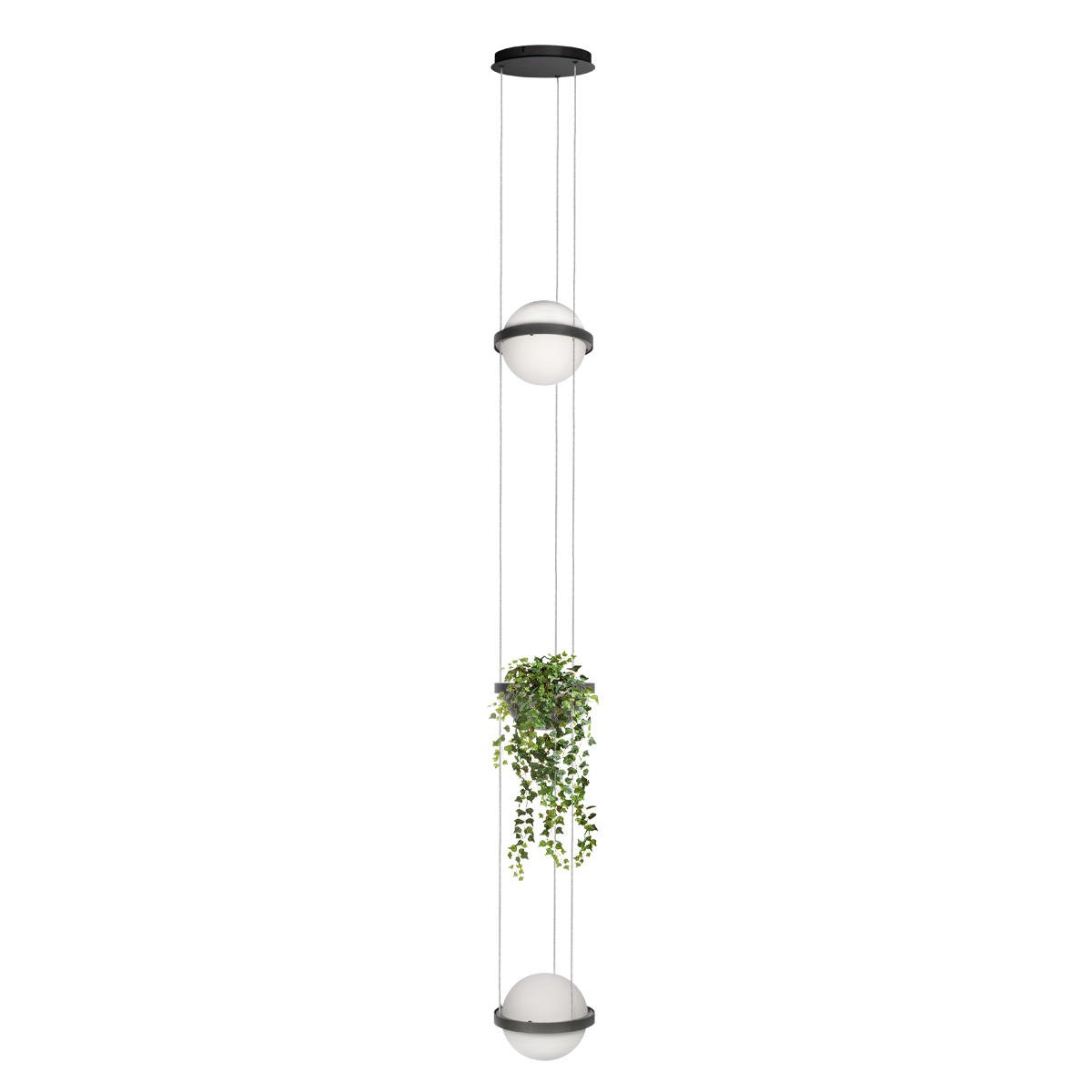 Подвесной светильник Loft IT Jardin 10121/2P Dark grey Подвесной светильник Loft IT Jardin 10121/2P Dark grey