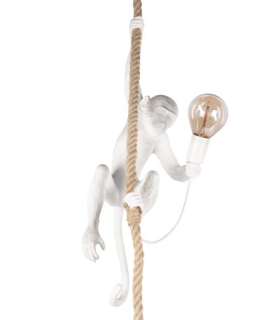 Подвесной светильник Loft IT Monkey 10314P