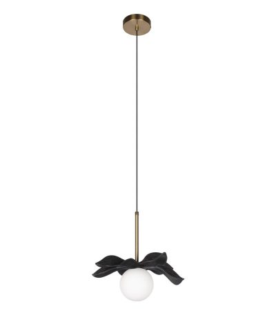 Подвесной светильник Loft IT Monro 10213/A Black