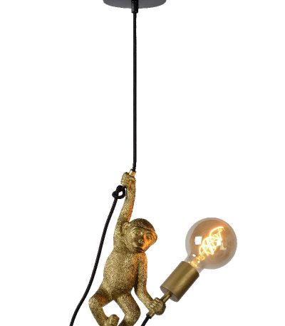 Подвесной светильник Lucide Extravaganza Chimp 10402/01/30