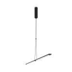 Подвесной светильник Maytoni Supersymmetry P096PL-L11BK