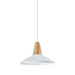 Подвесной светильник Moderli Luce V1571-1P