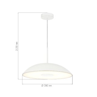 Подвесной светильник ST Luce Lid SL6128.503.01