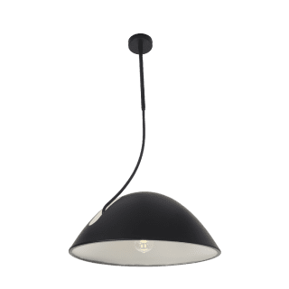 Подвесной светильник Zortes Korkee ZRS.1802.50