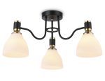 Потолочная люстра Ambrella Light Modern TR303303