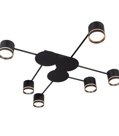 Потолочная люстра Arte Lamp Legacy A8024PL-6BK