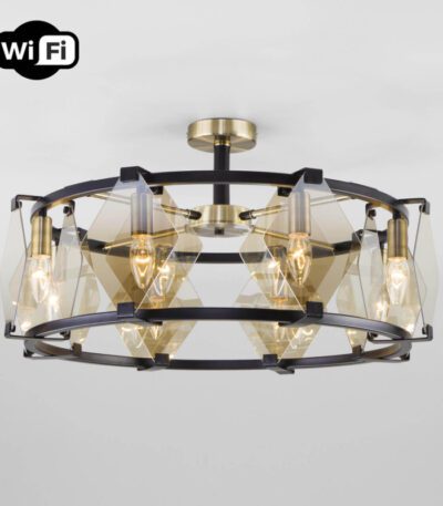 Потолочная люстра Eurosvet Aragon 60126/8 черный Smart (60116/8)