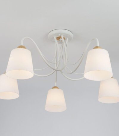 Потолочная люстра Eurosvet Betty 70062/5 белый