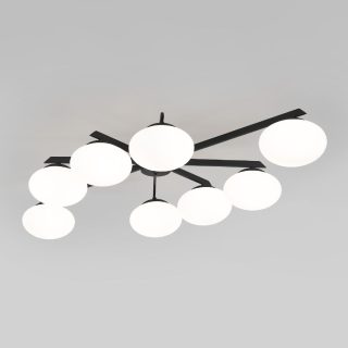 Потолочная люстра Eurosvet Opaline 70220/8 черный Smart a065767