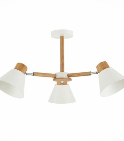 Потолочная люстра Evoluce Buve SLE103702-03