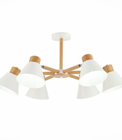 Потолочная люстра Evoluce Buve SLE103702-06