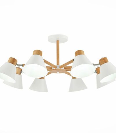 Потолочная люстра Evoluce Buve SLE103702-08