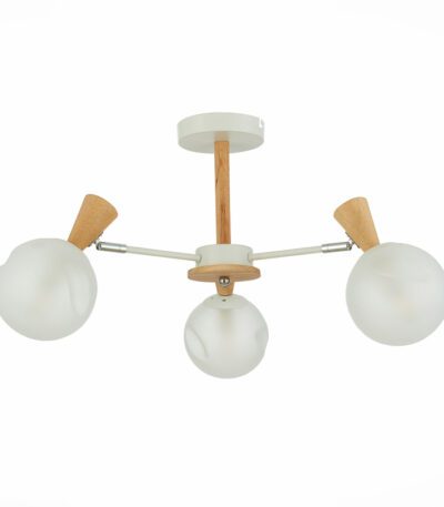 Потолочная люстра Evoluce Catania SLE220702-03