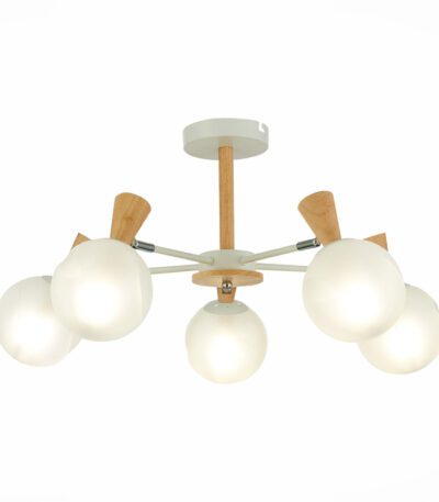 Потолочная люстра Evoluce Catania SLE220702-05