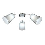 Потолочная люстра EVOLUCE MALEONTE SLE103002-03