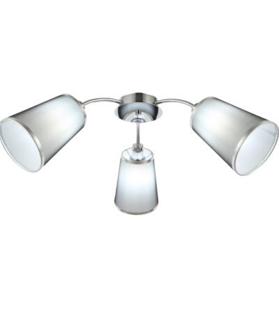 Потолочная люстра EVOLUCE MALEONTE SLE103002-03