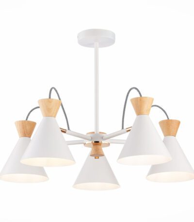 Потолочная люстра Evoluce Modica SLE125102-05