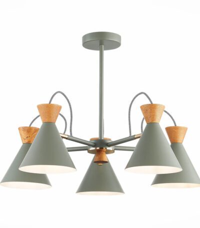 Потолочная люстра Evoluce Modica SLE125112-05