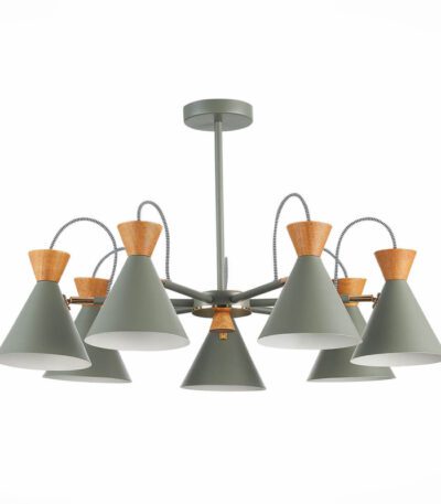 Потолочная люстра Evoluce Modica SLE125112-07