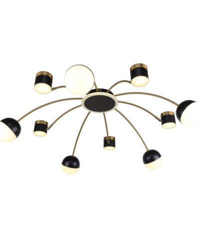 Потолочная люстра F-Promo Canvas 3096-10P