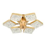 Потолочная люстра LED4U L8452-6