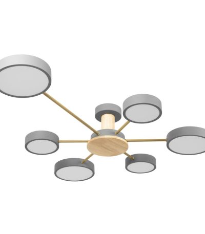 Потолочная люстра Loft IT Sunrise 10316/6 Grey