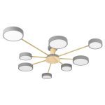 Потолочная люстра Loft IT Sunrise 10316/8 Grey