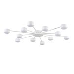 Потолочная люстра Lumion Comfi Torina 8343/12C