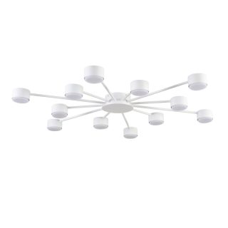 Потолочная люстра Lumion Comfi Torina 8343/12C