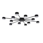 Потолочная люстра Lumion Comfi Torina 8344/12C