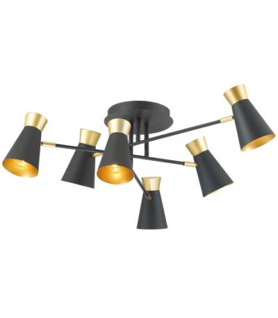 Потолочная люстра Lumion Liam 3790/6C