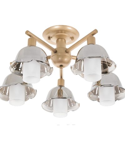 Потолочная люстра MyFar Lisa MR1481-5C