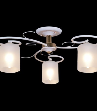 Потолочная люстра Reluce 00738-0.3-03