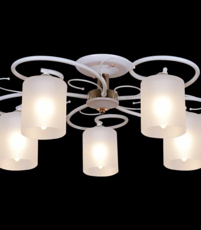 Потолочная люстра Reluce 00738-0.3-05