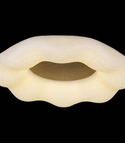 Потолочная люстра Reluce 01029-0.3-01 WOOD