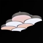 Потолочная люстра Reluce 01218-0.3-06LED