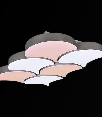 Потолочная люстра Reluce 01218-0.3-06LED