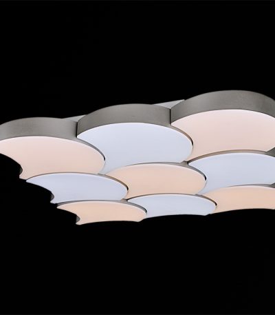 Потолочная люстра Reluce 01218-0.3-09LED