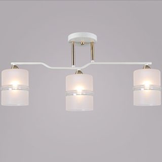 Потолочная люстра Reluce 02283-0.3-03 WT+FGD