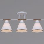 Потолочная люстра Reluce 07594-0.3-03 WG