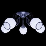 Потолочная люстра Reluce 07987-0.3-05