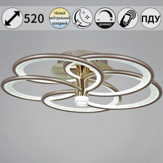 Потолочная люстра Reluce 09246-0.3-5S Champaign silver