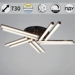 Потолочная люстра Reluce 17090-0.3-10 BK+FG